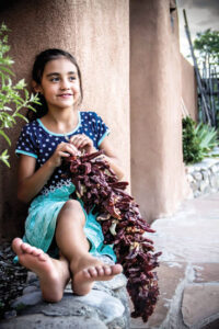 Around the World with the Hot Pepper Image